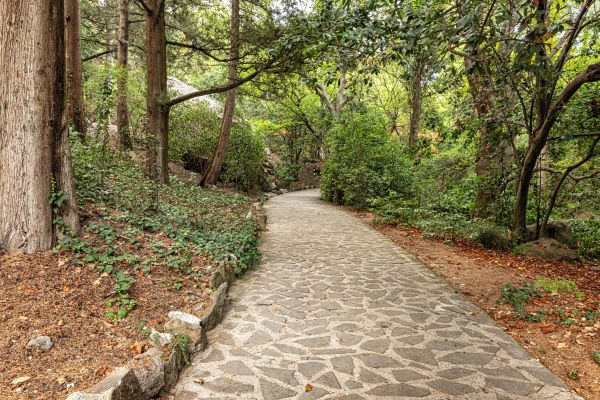 Stone Walkway Repair in Akron