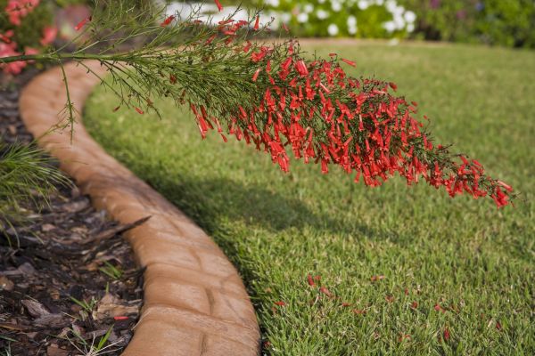 Brick Edging in Akron