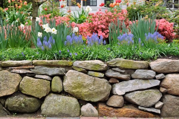 Stone Wall Hardscaping in Akron