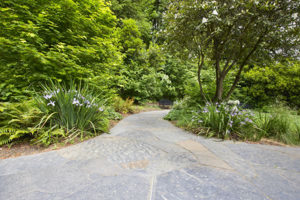 Stone Hardscape Service in Akron