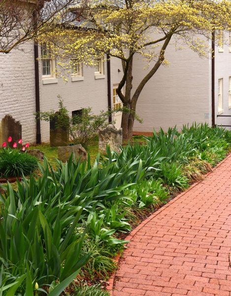 Brick Flatwork Repair in Akron